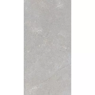 Gạch Viglacera NGC I03