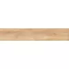 Gạch Viglacera NY GK15902