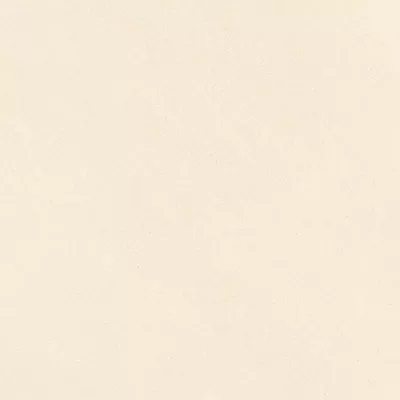 Gạch Viglacera NY2 GM6604