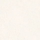 Gạch Viglacera NY2-P121204