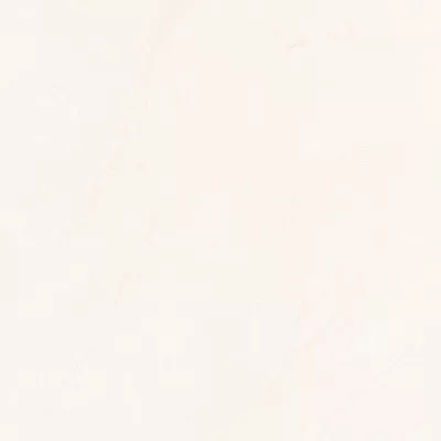 Gạch Viglacera NY2-P121204