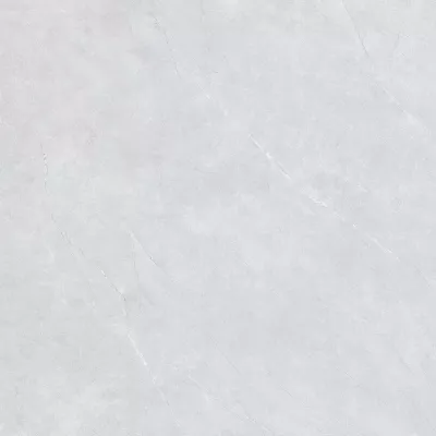 Gạch Viglacera NY20-GP8801