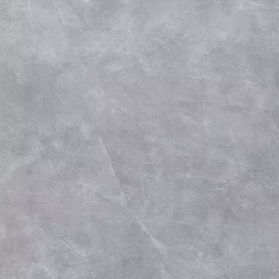 Gạch Viglacera NY20-GP8802