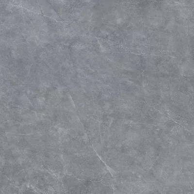 Gạch Viglacera NY20-GP8803