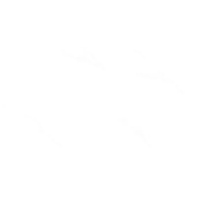 Gạch Viglacera NY21-GP61201