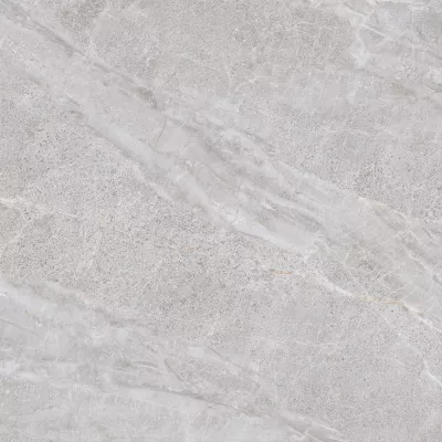 Gạch Viglacera NY3 GP6601