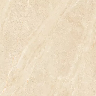 Gạch Viglacera NY3 GP6604