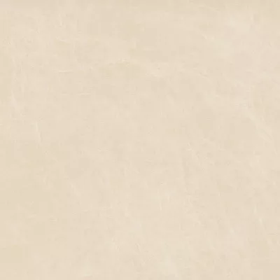 Gạch Viglacera NY4 GM8803