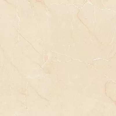 Gạch Viglacera PL36-ST03