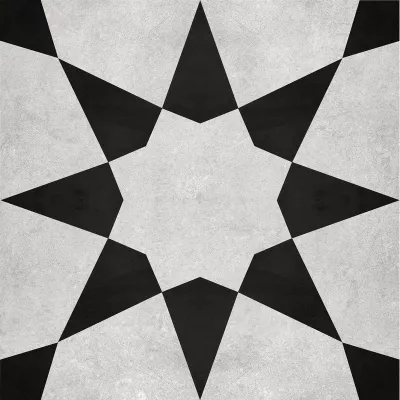 Gạch Viglacera PLATINUM PH22-B6