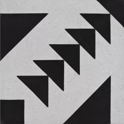 Gạch Viglacera PLATINUM PH22-B8