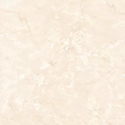 Gạch Viglacera PR3004