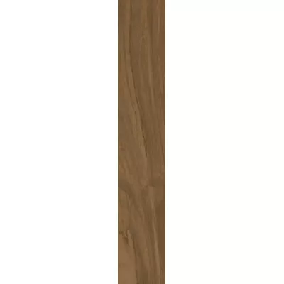 Gạch Viglacera PT-21205-T2