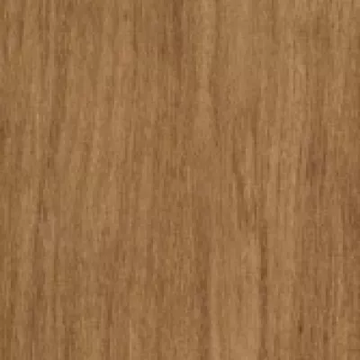 Gạch Viglacera PT-21206-T2