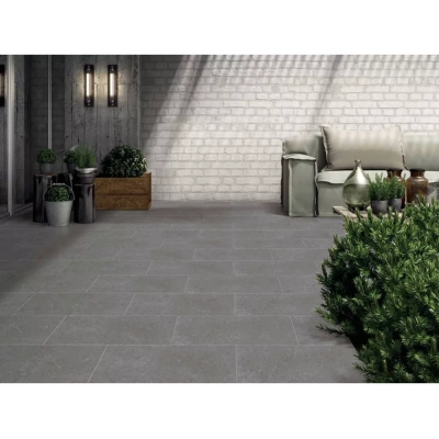 Gạch Viglacera PT20-G3603