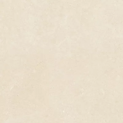 Gạch Viglacera PT20-G6601