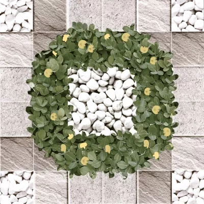 Gạch Viglacera SG 404