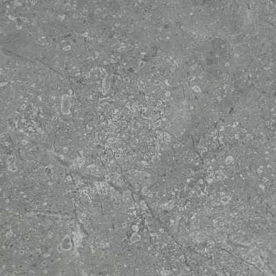 Gạch Viglacera SH-BS3302