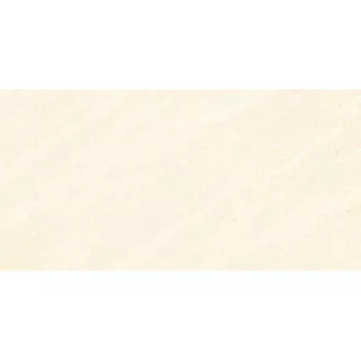 Gạch Viglacera SH-BS3601