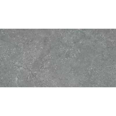 Gạch Viglacera SH-CE3602