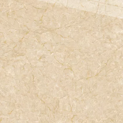 Gạch Viglacera SH-CE504