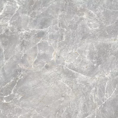 Gạch Viglacera SH-CE509