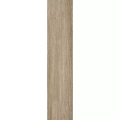 Gạch Viglacera SH-GC21062