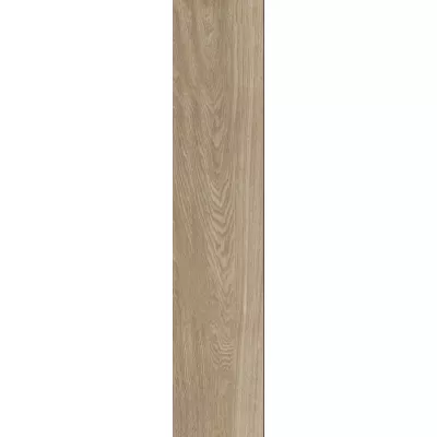 Gạch Viglacera SH-GC21062