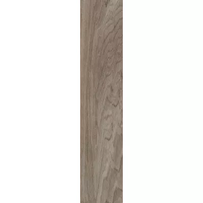 Gạch Viglacera SH-GC21063