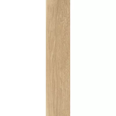 Gạch Viglacera SH-GC21064