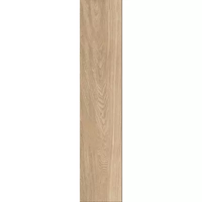 Gạch Viglacera SH-GC21065