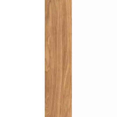 Gạch Viglacera SH-GC21066