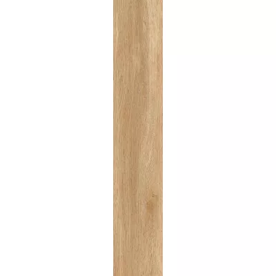 Gạch Viglacera SH-GK15904