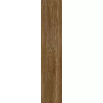 Gạch Viglacera SH-GK21003