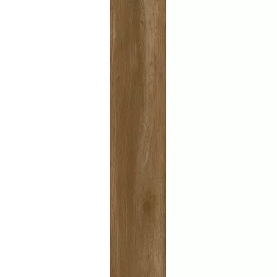 Gạch Viglacera SH-GK21003