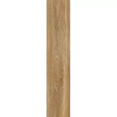 Gạch Viglacera SH-GK21004