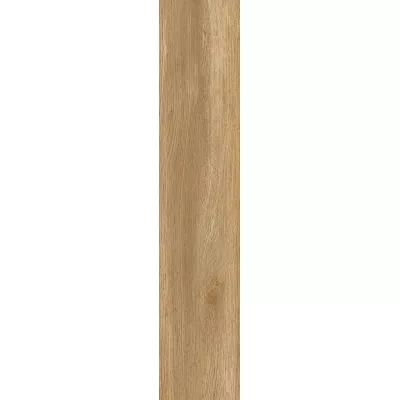 Gạch Viglacera SH-GK21004