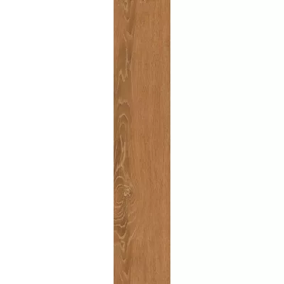 Gạch Viglacera SH-GK21005