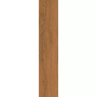 Gạch Viglacera SH-GK21005