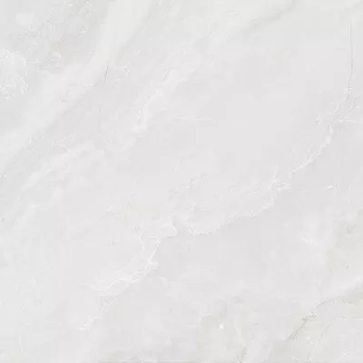 Gạch Viglacera SH-GP3601