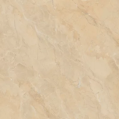 Gạch Viglacera SH-GP607