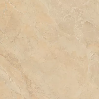 Gạch Viglacera SH-GP61207