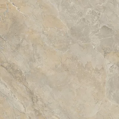 Gạch Viglacera SH-GP61208