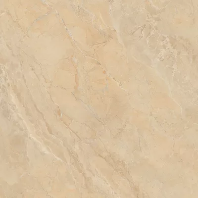 Gạch Viglacera SH-GP807