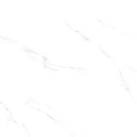 Gạch Viglacera SH1-P121201