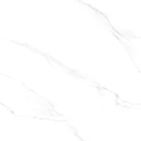 Gạch Viglacera SH1-P121201