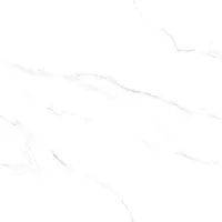 Gạch Viglacera SH1-P121201