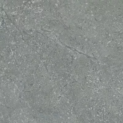 Gạch Viglacera SH302