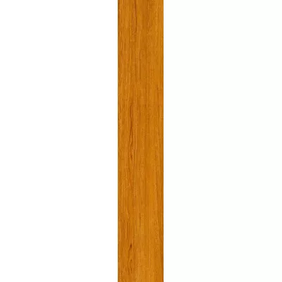 Gạch Viglacera T15906