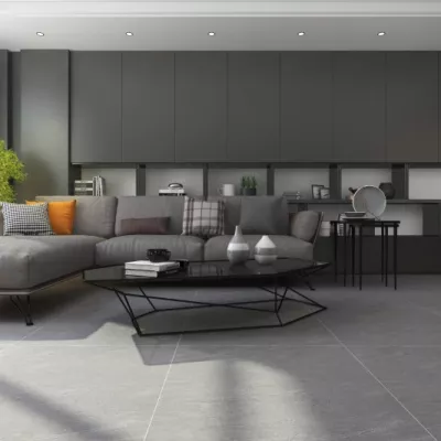 Gạch Viglacera TM 602/TM 802